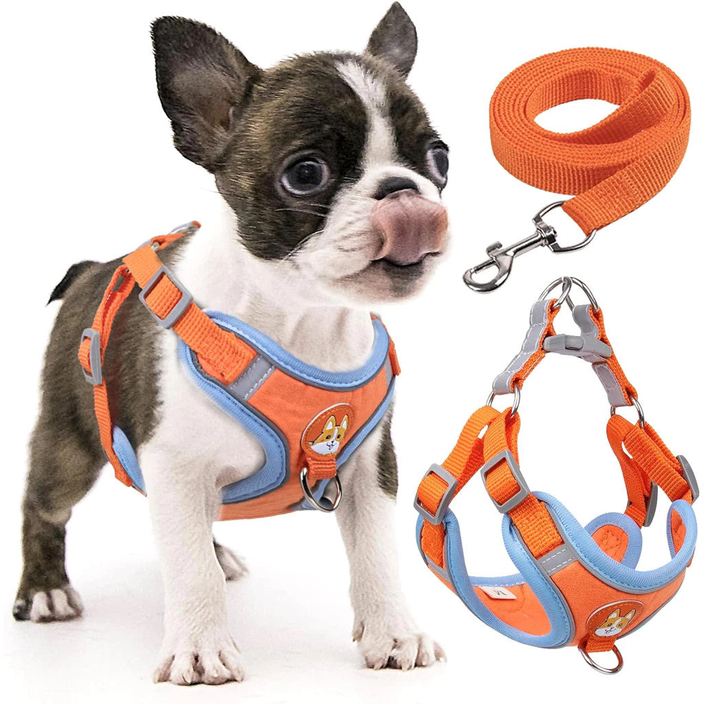 Coleira Peitoral Tipo Colete com Guia – Mais Conforto e Controle para seu Pet