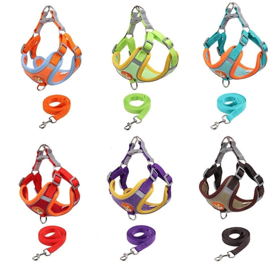 Coleira Peitoral Tipo Colete com Guia – Mais Conforto e Controle para seu Pet
