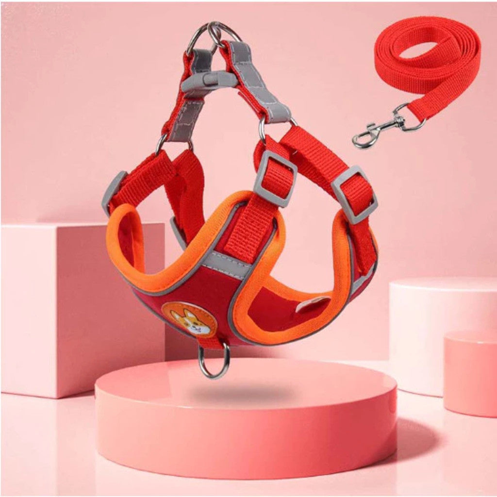 Coleira Peitoral Tipo Colete com Guia – Mais Conforto e Controle para seu Pet